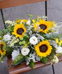 Hoa hội nghị đẹp HN-05